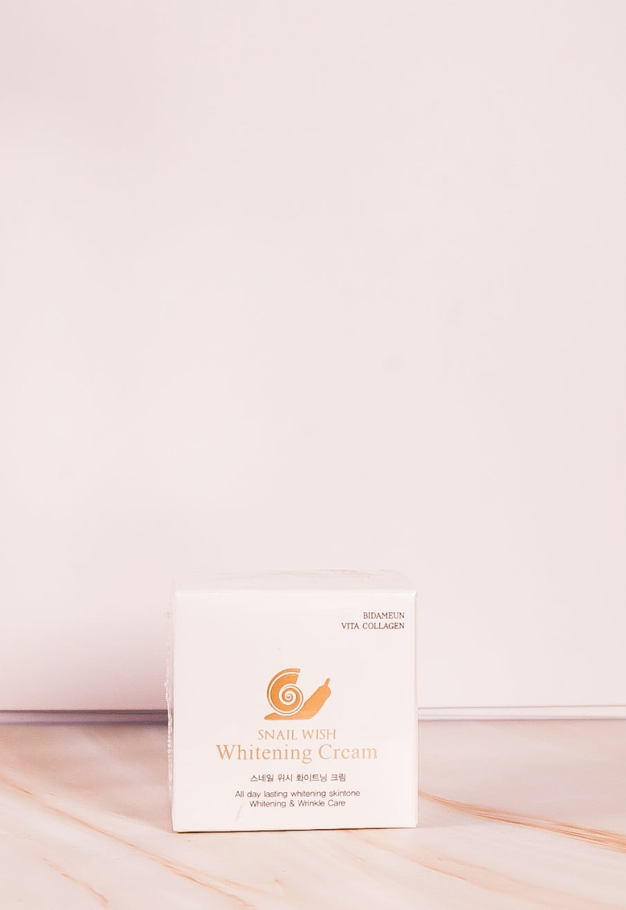 BIDAMEUN SNAIL WISH WHITENING CREAM
